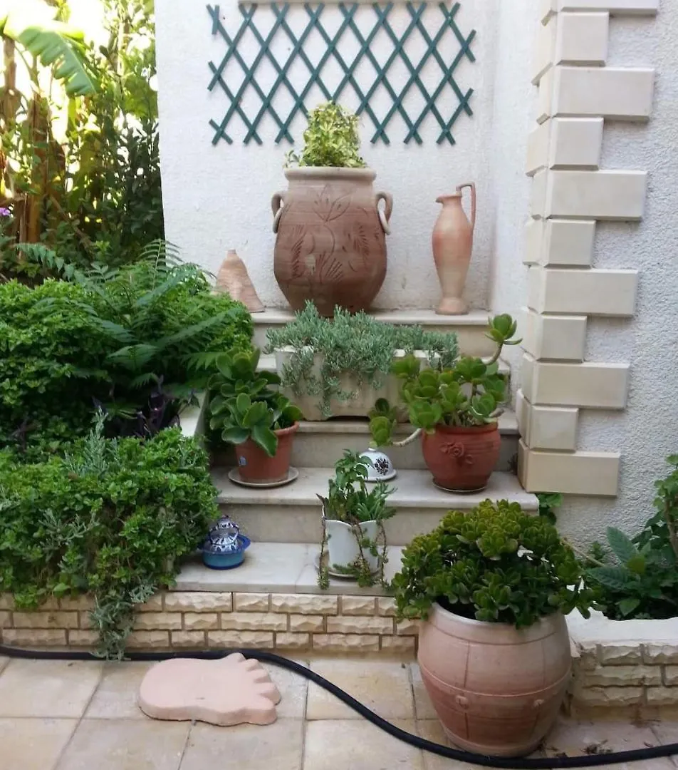Dar La Leila Bed and Breakfast Tunis 0*,  Tunisien